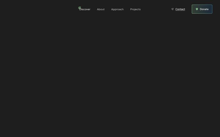 Screenshot of aguilacondor-foundation.org