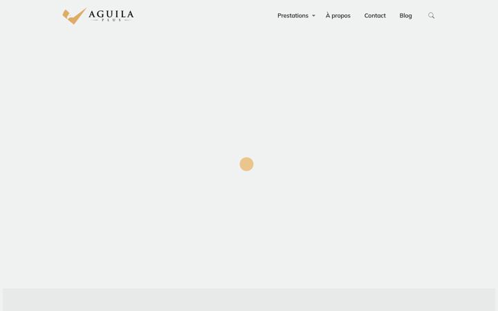 Snimka zaslona za aguilaplus.com