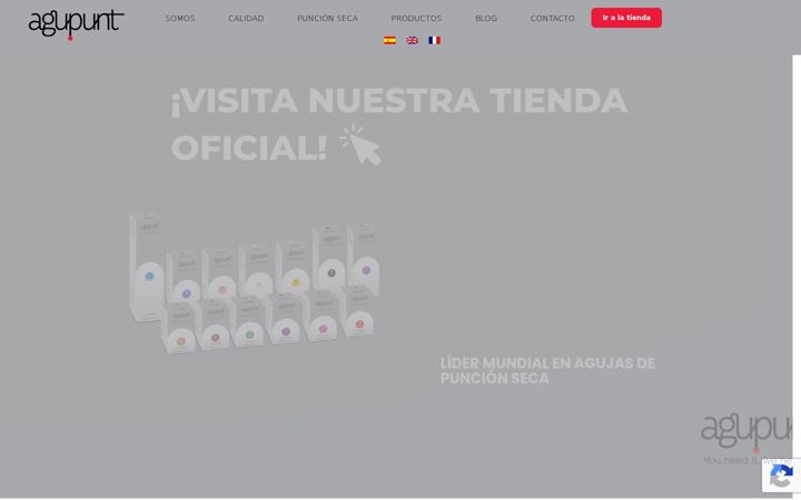 Screenshot of agupunt.com