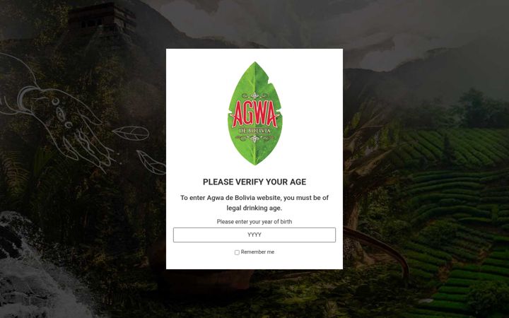 Screenshot of agwadebolivia.com