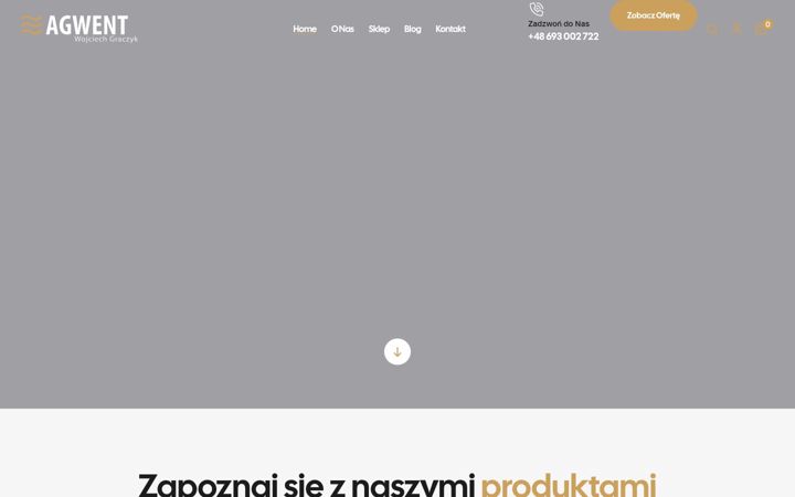 Zrzut ekranu agwent.pl