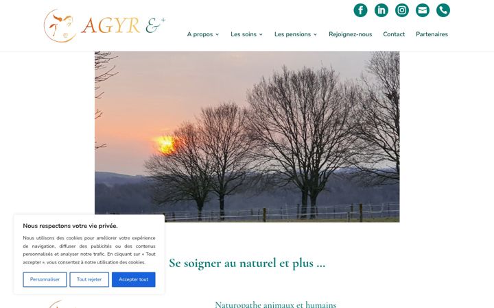 Skærmbillede af agyretplus.com
