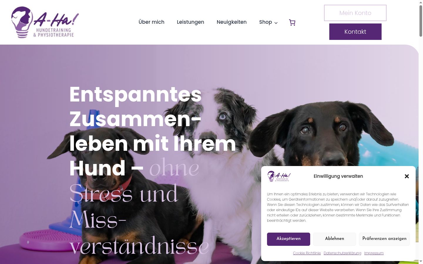 Screenshot des Einwilligungsbanners vor jeglicher Interaktion