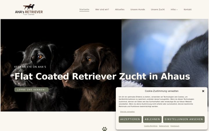 Screenshot of aha-retriever.de