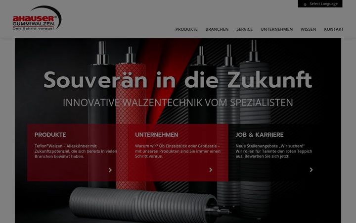 Screenshot of ahauser.com