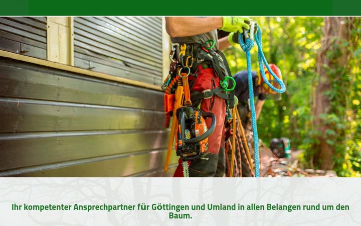 Screenshot of ahlers-baum.de