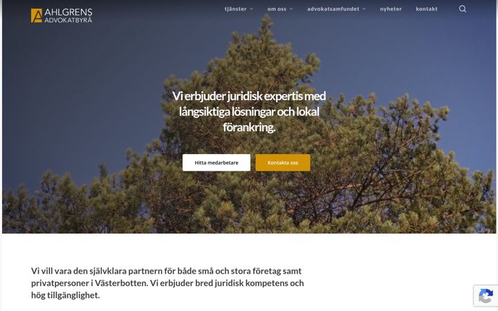 Screenshot of ahlgrens.nu