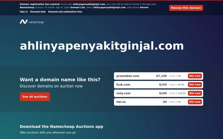 Screenshot of ahlinyapenyakitginjal.com