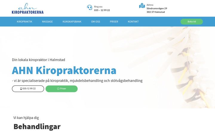 Screenshot του ahnkiropraktorerna.se