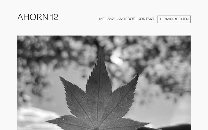 Screenshot of ahorn12.ch