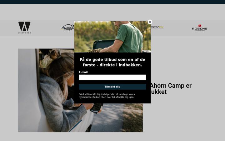 Screenshot of ahorndanmark.dk