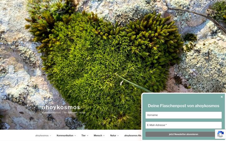 Snímek obrazovky ahoykosmos.com