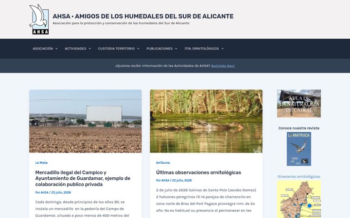 Capture d'écran de ahsa.org.es