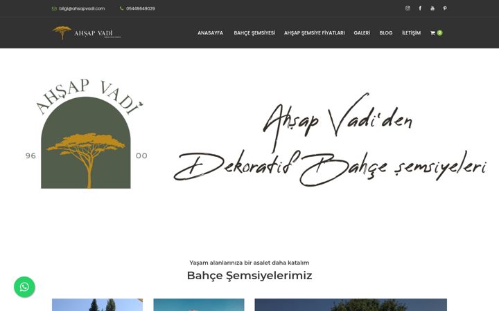 Screenshot of ahsapvadi.com