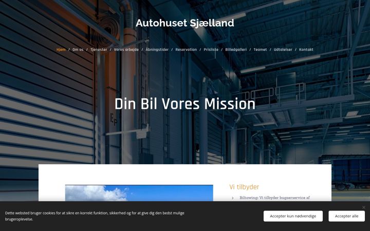 Screenshot of ahsj.dk