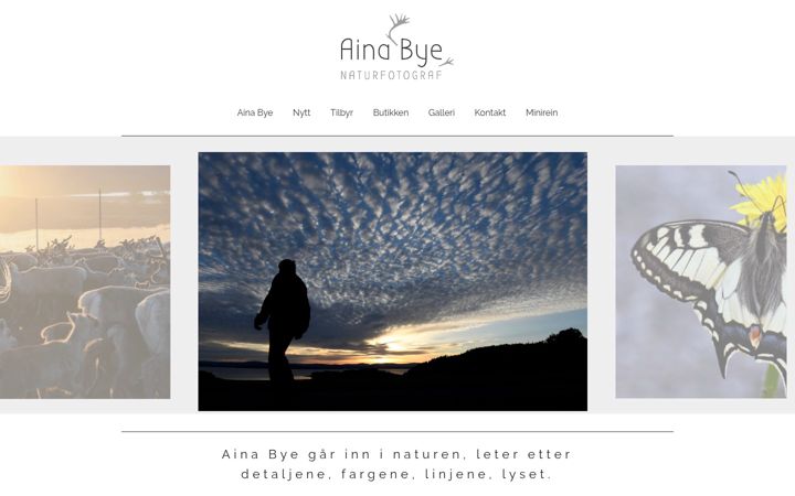 Screenshot van ai-naturfoto.no