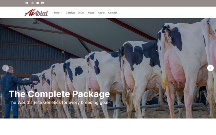 Screenshot of ai-total.com