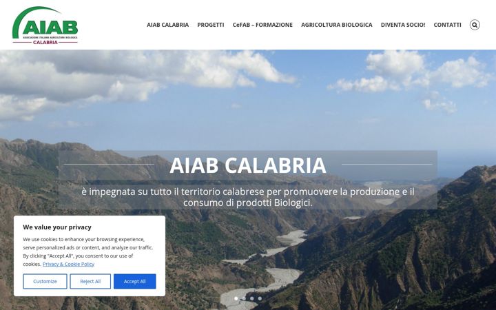 Screenshot of aiabcalabria.it