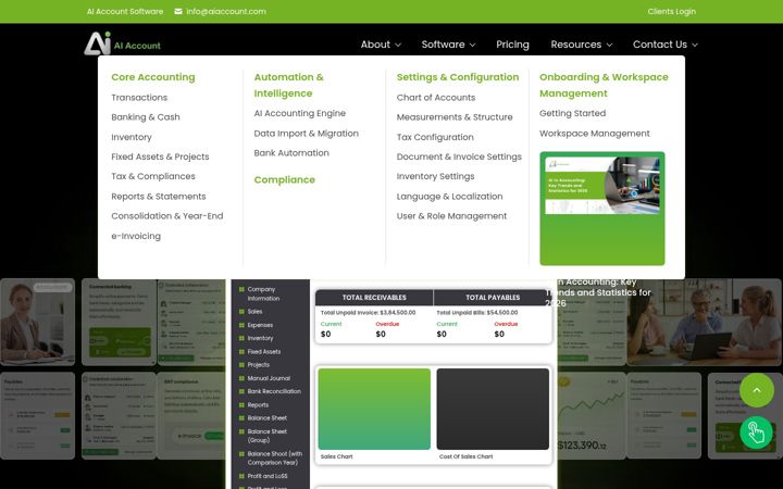 Screenshot of aiaccount.com