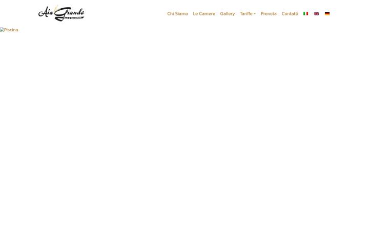 Screenshot of aiagrande.com