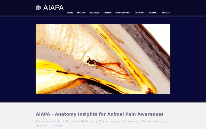 Screenshot of aiapa.eu