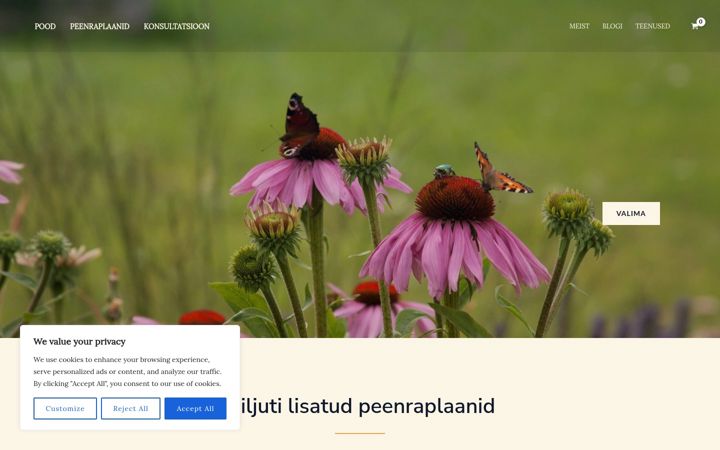 Captura de pantalla de aiaunistused.ee