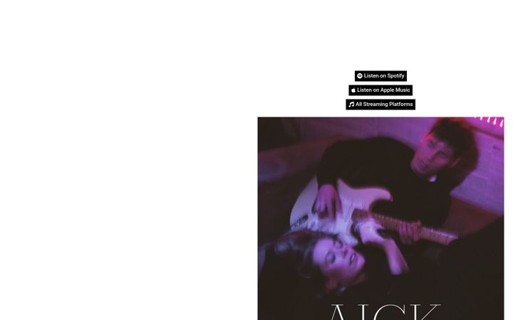 Screenshot of aick.dk