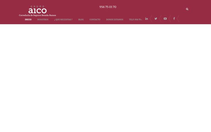 Képernyőkép: aicojerez.es