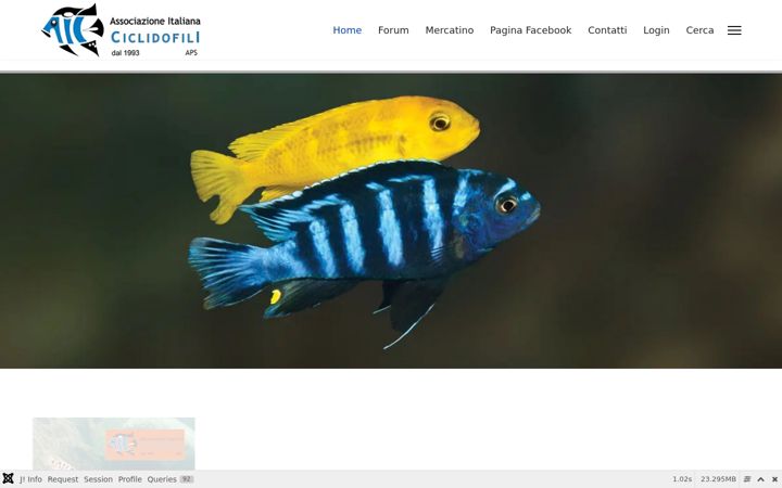 Screenshot of aiconline.it