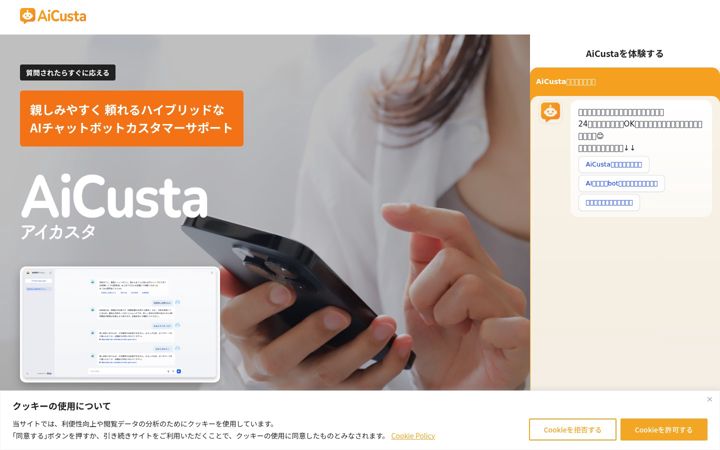 Screenshot of aicusta.com