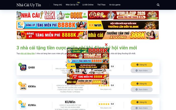 Screenshot of aidadetectives.com