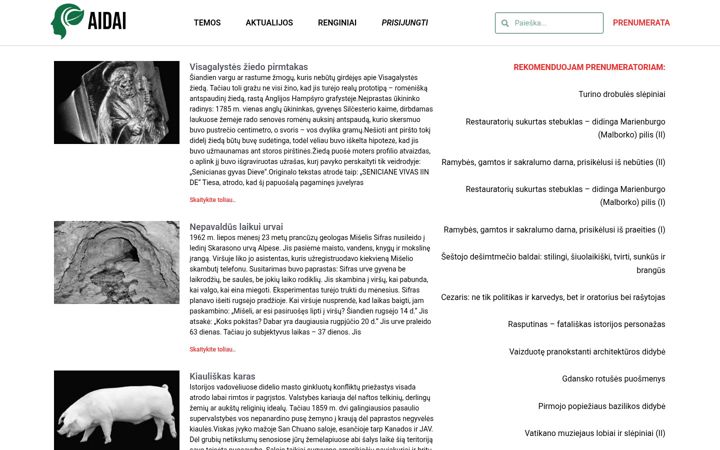 Screenshot of aidai.lt
