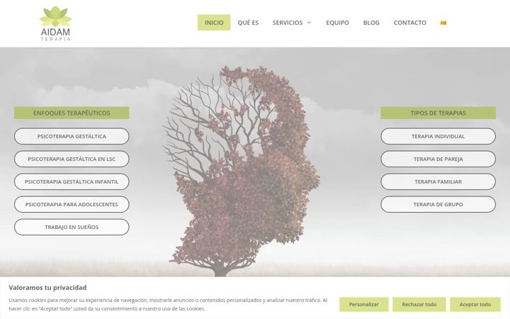 Képernyőkép: aidamterapia.com