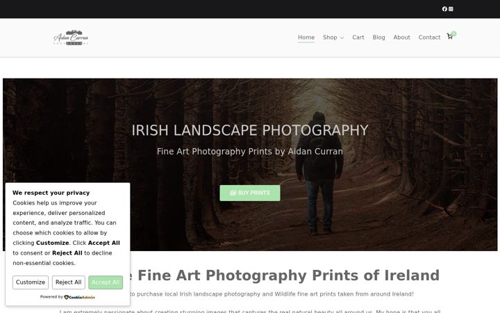 Screenshot of aidancurranphotography.com