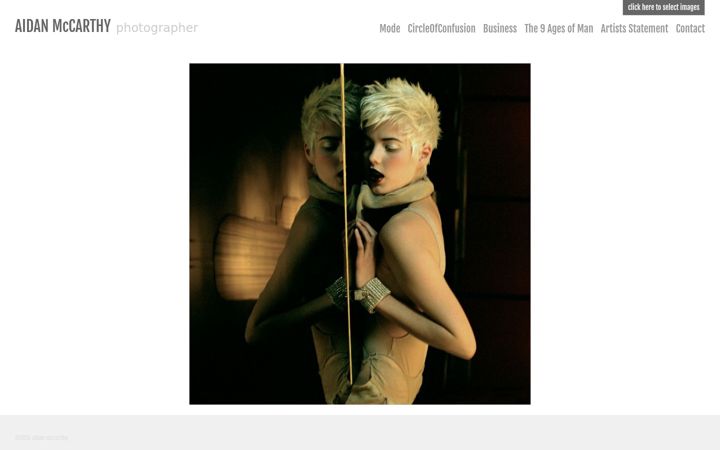Screenshot of aidanmccarthy.net