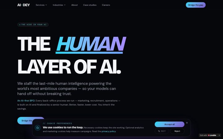 Screenshot of aidey.net