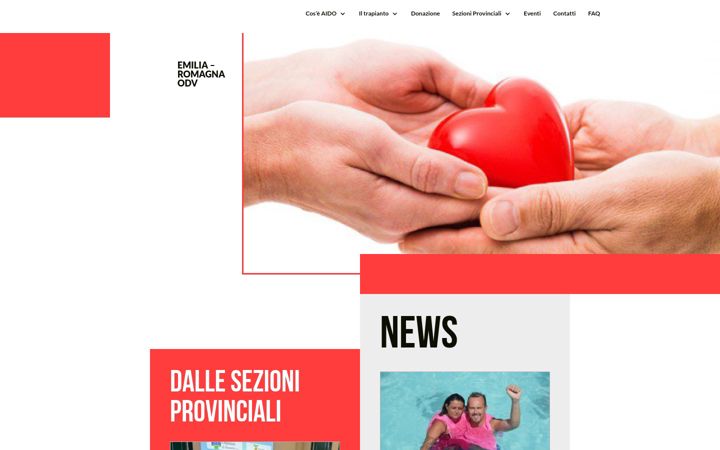 Screenshot of aidoemiliaromagna.it