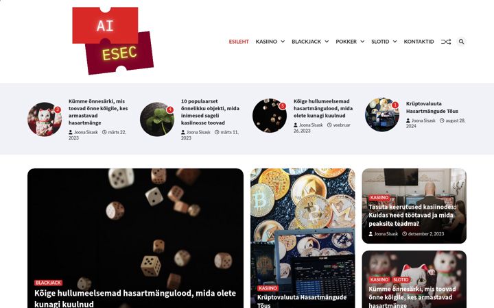 Skærmbillede af aiesec.ee