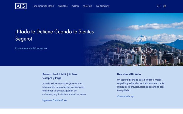 Screenshot of aig.com.ec