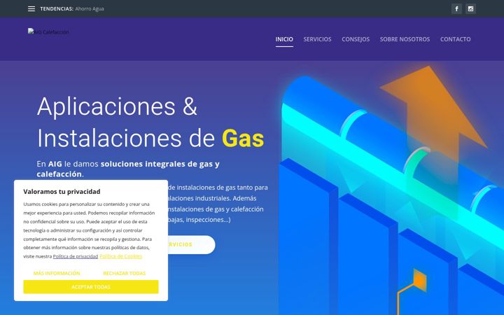 Screenshot of aig.es