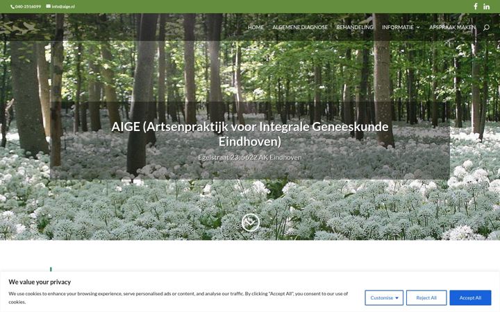 Screenshot του aige.nl