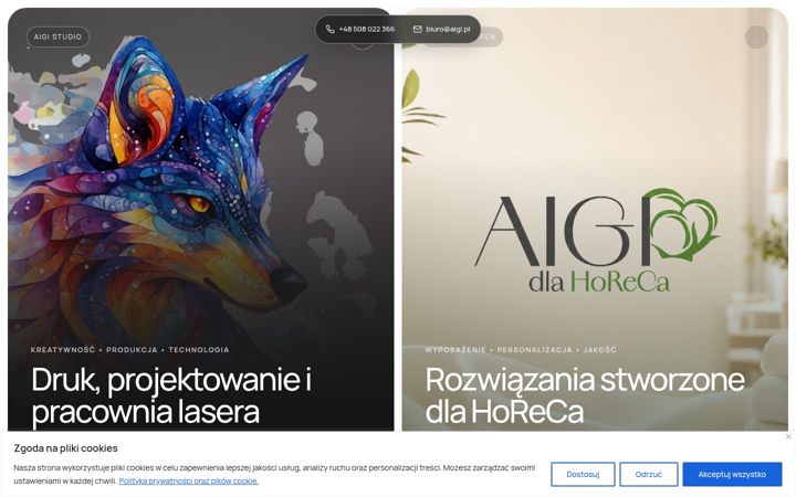 Posnetek zaslona aigi.pl