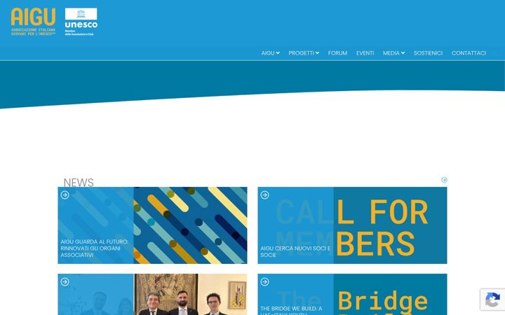 Screenshot of aiguofficial.it