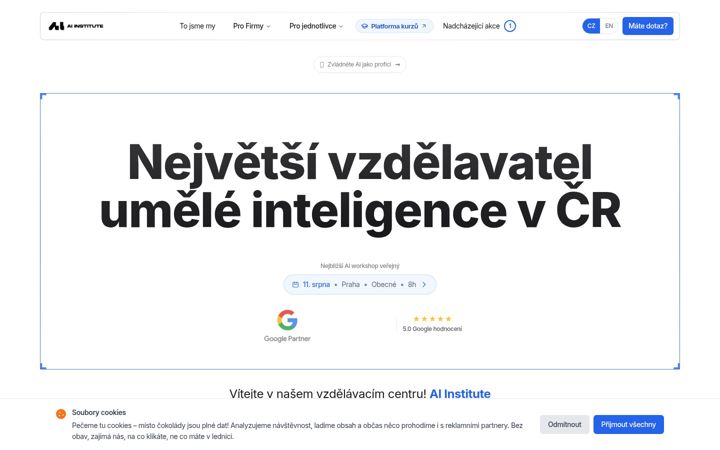 Snimka zaslona za aiinstitute.cz