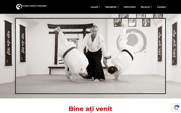 Screenshot of aikido-bucuresti.ro