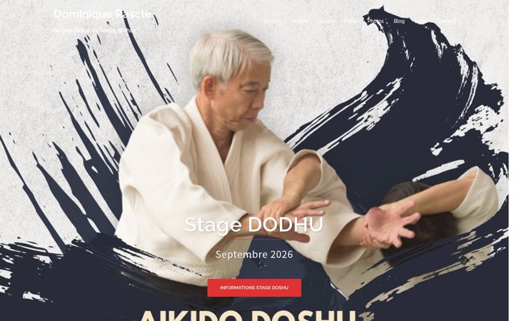 Screenshot of aikido-dominiquerascle.com