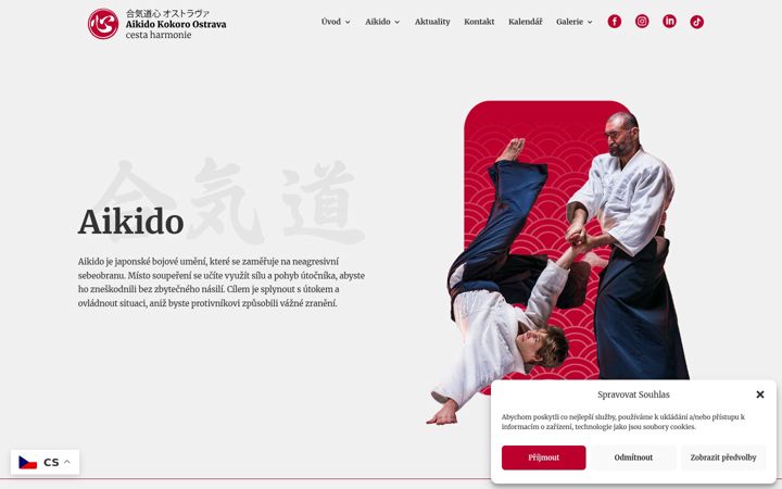 Screenshot of aikido-kokoro-ostrava.cz