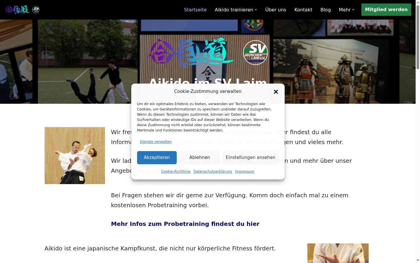 Screenshot of the consent banner shown before any interaction