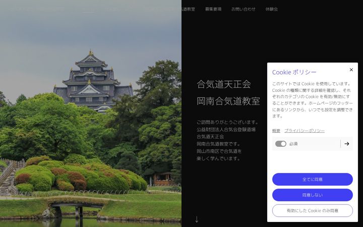 Screenshot di aikido-tenseikaikounan.com