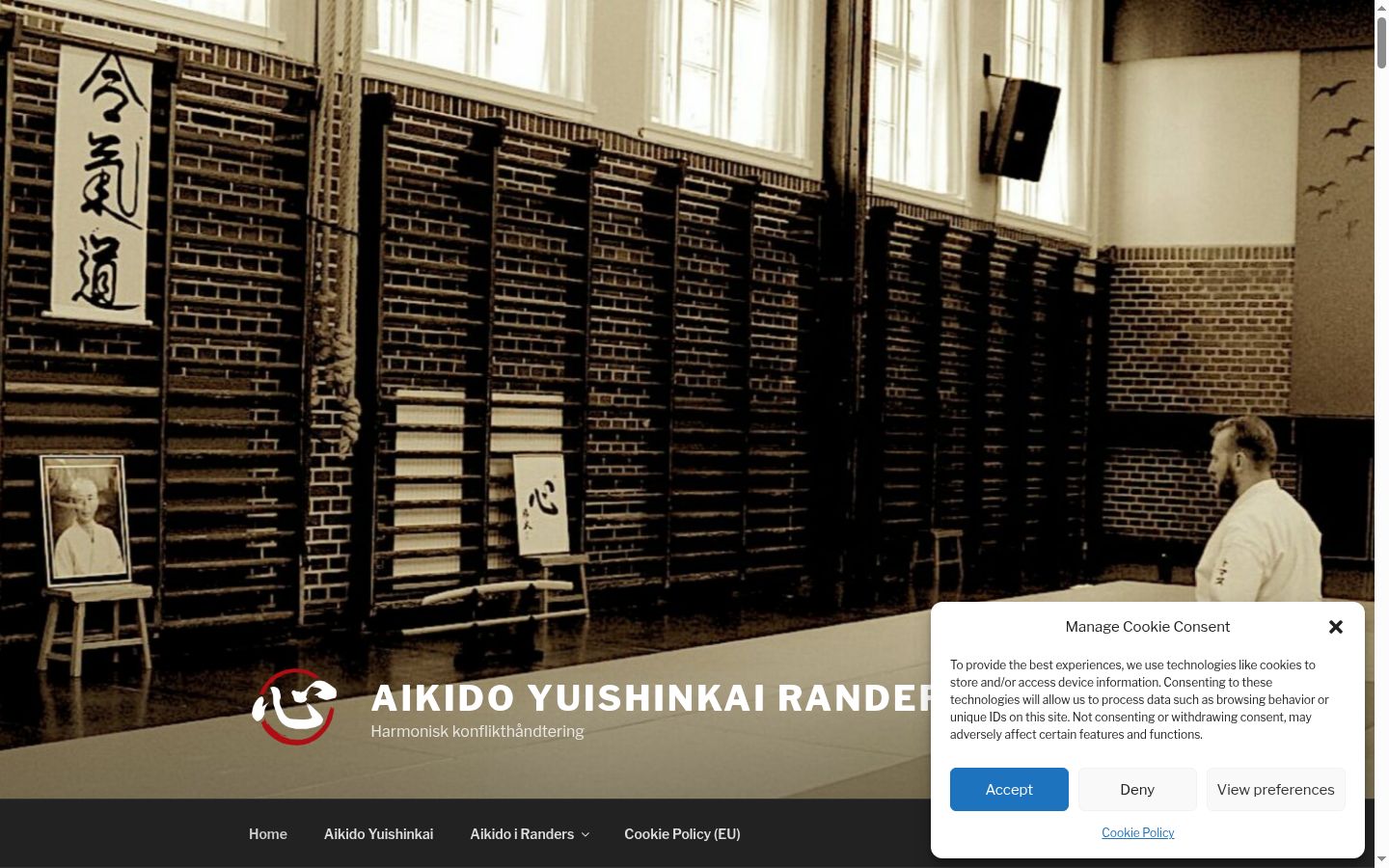Screenshot of the consent banner shown before any interaction